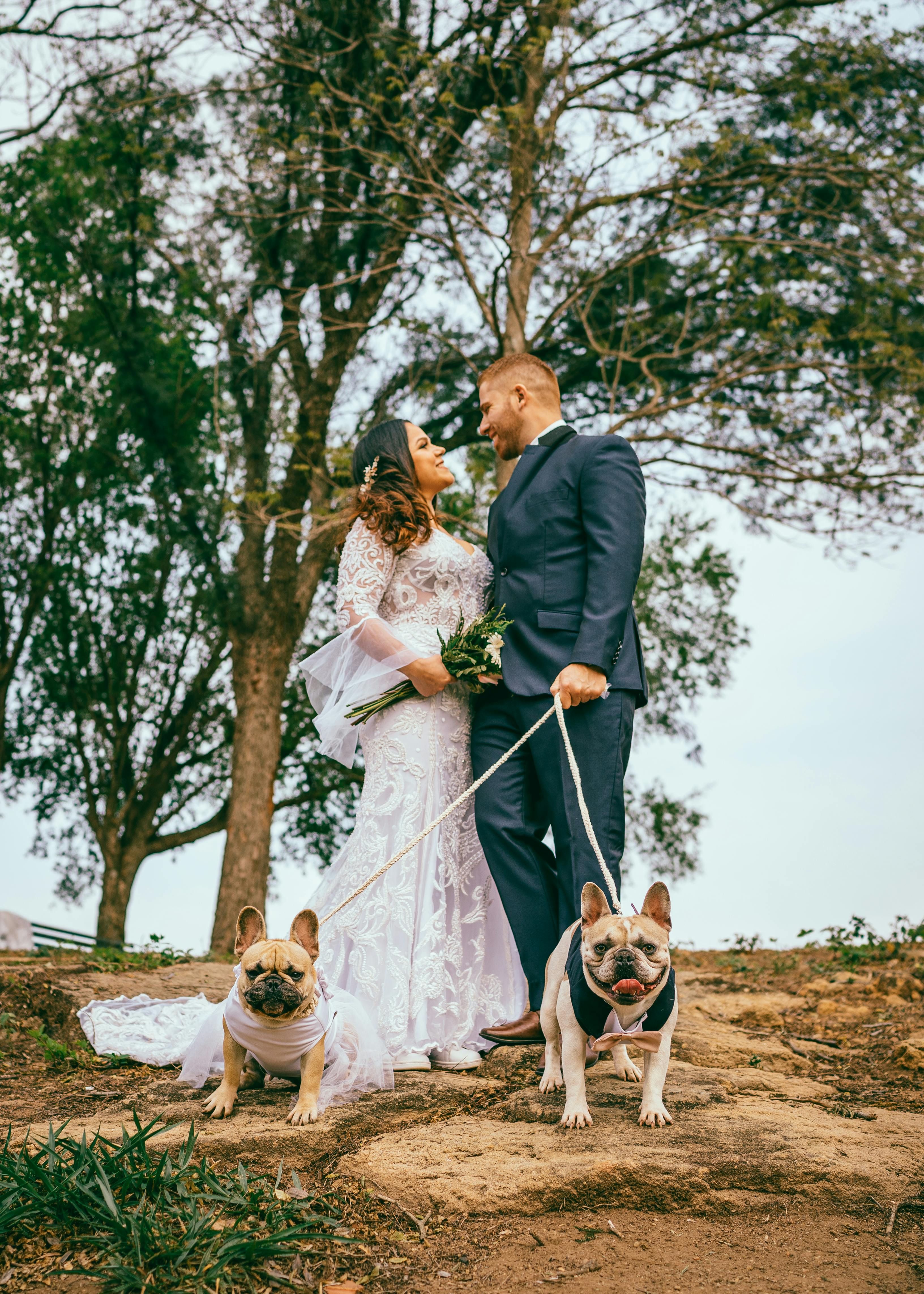 Wedding pet attendant Sarasota