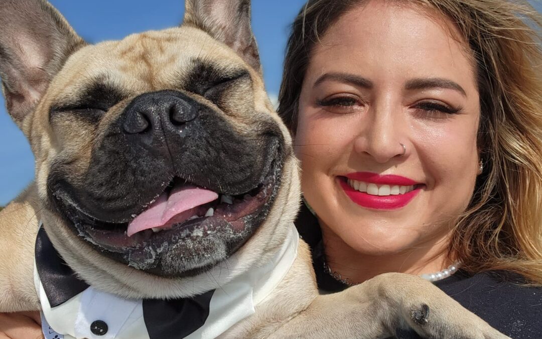 How a Wedding Pet Attendant Can Help You Include Your Pet in Your Wedding