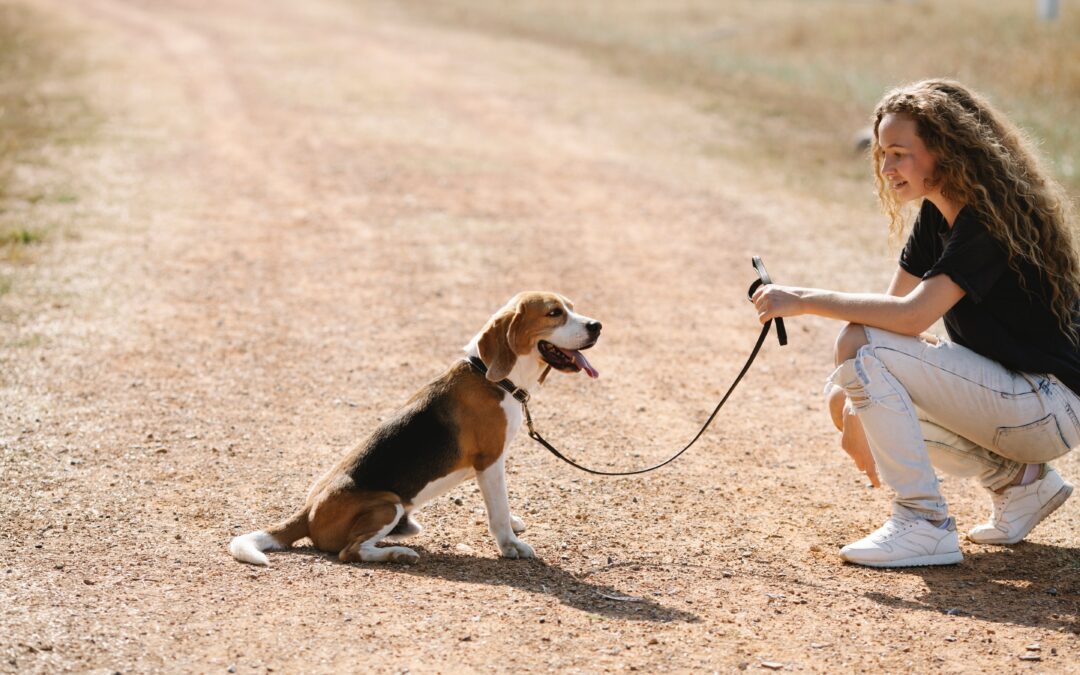How to Stop Your Dog from Pulling on the Leash: The Importance of Proper Leash Training